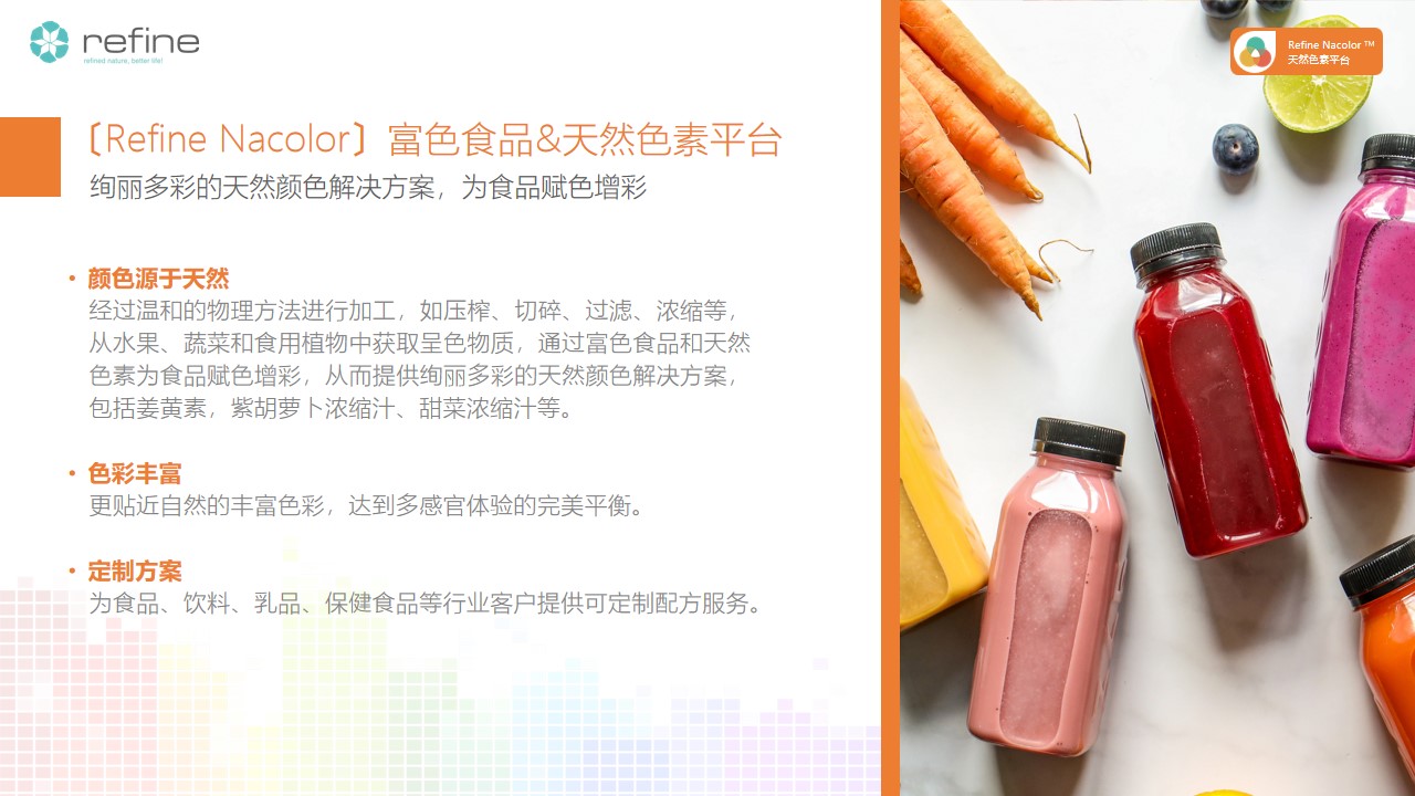 產品平臺(圖4) 幻燈片11.jpg