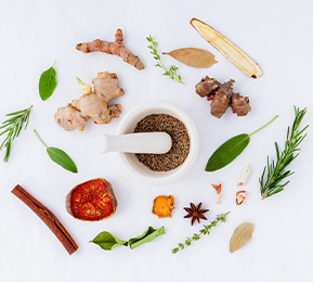 釋放植物力量，實(shí)現(xiàn)植物功能成分風(fēng)味優(yōu)化及多維度功能覆蓋